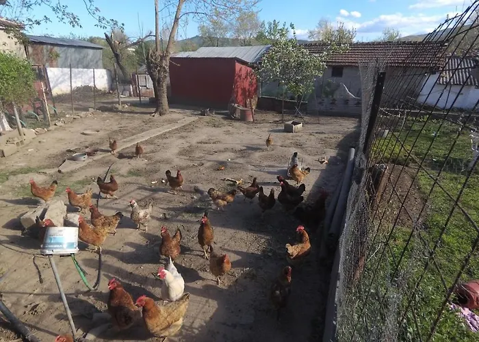 Fofi's Place Magoulitsa