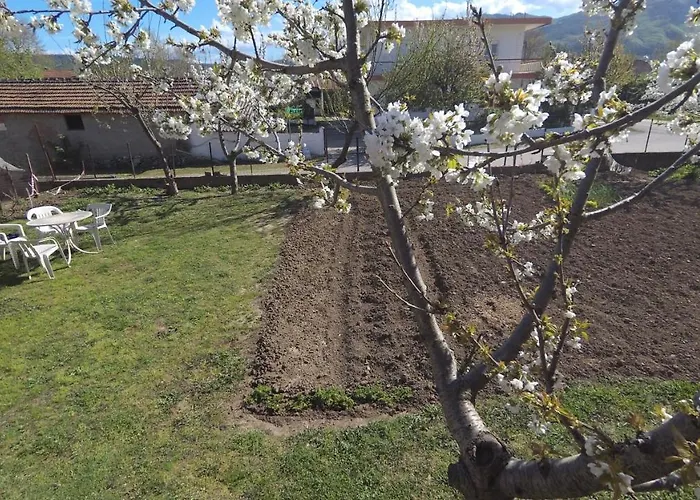 Fofi's Place Lägenhet *